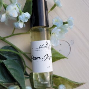 plum-japonica1